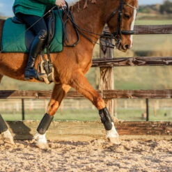 Equilibrium Tri-Zone All Sports Boots Black -Equestrian Clothing Sales ASB20Black20Set20120Web.700x700