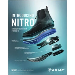 Ariat Womens Devon Nitro Zip Paddock Boots Wax Chocolate -Equestrian Clothing Sales Ariat Womens Devon Nitro Zip Paddock Boots Wax Chocolate Tech.700x700