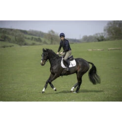 Charles Owen Pro II Plus Round Fit Skull Helmet Black -Equestrian Clothing Sales CHARLES OWEN HARRY MEADE HOME 15742.700x700