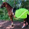 Equisafety Charlotte Dujardin Mesh Quarter Rug Yellow C-Y-MESH Colour Yellow 1 Equisafety Charlotte Dujardin Mesh Quarter Rug Yellow C-Y-MESH Colour Yellow -Equestrian Clothing Sales Charlotte20Dujardin20Mesh20Quarter20Rug2C20Yellow20C Y MESH.700x700