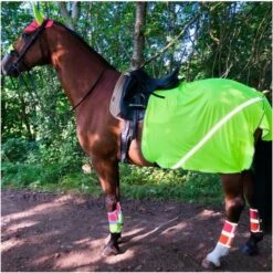 Equisafety Charlotte Dujardin Mesh Quarter Rug Yellow C-Y-MESH Colour Yellow