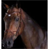 Collegiate Comfitec Training Bridle - Brown Colour Brown -Equestrian Clothing Sales Collegiate Comfitec Training Bridle Brown.700x700