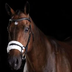 Collegiate Comfitec Sheepskin Bridle - Black Colour Black