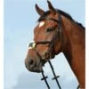2022 Collegiate Syntovia+ Padded Raised Figure 8 Bridle 10031020 - Brown Colour Brown -Equestrian Clothing Sales Collegiate20Syntovia2B20Padded20Raised20Figure20820Bridle20 20Brown.700x700