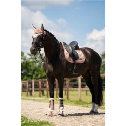 2023 Imperial Riding Lovely General Purpose Saddle Pad ZT73122000 - Rosy Colour Rosy -Equestrian Clothing Sales DSC02970.700x700