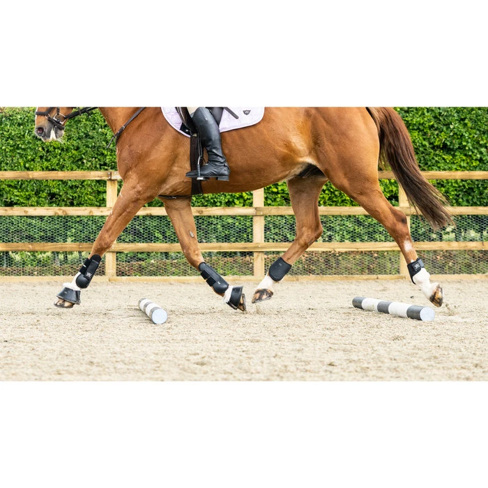 Woof Wear Pro Tendon Boots Black 6 Woof Wear Pro Tendon Boots Black - Image 4