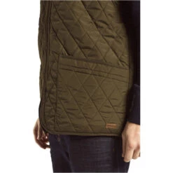 Dubarry Mens Ballygar Gilet Olive -Equestrian Clothing Sales Dubarry20Mens20Gilet20Ballygar20olive20close.700x700