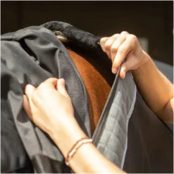 Equilibrium Magnetic Rug With Neck - Black -Equestrian Clothing Sales Equilibrium Magnetic Rug with Neck Black 4.700x700