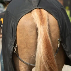 Equilibrium Magnetic Rug With Neck - Black -Equestrian Clothing Sales Equilibrium Magnetic Rug with Neck Black 6.700x700
