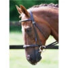 Equilibrium Net Relief Muzzle Net Brown -Equestrian Clothing Sales Equilibrium Net Relief Muzzle Net Brown.700x700
