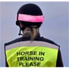 Equisafety Relective Hatband Pink -Equestrian Clothing Sales Equisafety Reflective Hat Band Pink.700x700
