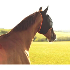 Equilibrium Field Relief Midi Fly Mask With Ears Black / Orange -Equestrian Clothing Sales Field20Relief20Midi20with20Muzzle20Fringe20Lifestyle20120Web1.700x700
