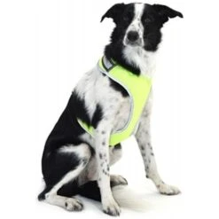 2022 Equisafety LED Flashing Hi-Vis Reflective Dog Harness DOGH - Yellow Colour Yellow