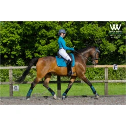 2022 Woof Wear Womens Performance Riding Shirt WA0001 - Ocean Colour Ocean -Equestrian Clothing Sales Ocean206.700x700 1