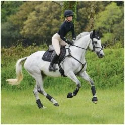 2021 Woof Wear IVent Overreach Boot WB0071 - Brushed Steel Colour Brushed Steel -Equestrian Clothing Sales PiLa5nWM.700x700