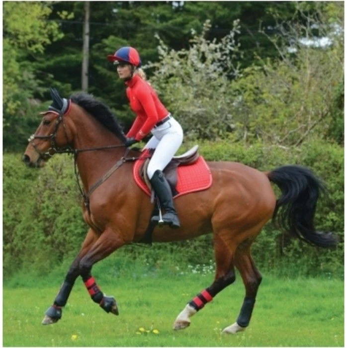2022 Woof Wear Close Contact Saddle Cloth WS0003 - Royal Red Colour Royal Red 4 2022 Woof Wear Close Contact Saddle Cloth WS0003 - Royal Red Colour Royal Red - Image 2