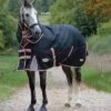 WeatherBeeta ComFiTec Premier With Therapy-Tec Detach-A-Neck Lite Plus Turnout Rug 10062120 - Black / Silver / Red