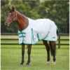 WeatherBeeta Green-Tec 900D Standard Neck Lite Plus 10051580 - Light Grey / Bottle Green Colour Bottle Green/Light Grey -Equestrian Clothing Sales WeatherBeeta20GreenTec20900D20Standard20Neck20Lite20Plus201005158020Light20Grey20Bottle20Green1.700x700