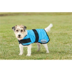 WeatherBeeta Therapy-Tec Cooling Dog Coat 10023070 - Blue -Equestrian Clothing Sales WeatherBeeta20TherapyTec20Cooling20Dog20Coat201002307020Blue dog1.700x700