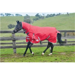 Weatherbeeta Comfitec Classic Heavy Combo Neck Rug - Red / Silver 5 Weatherbeeta Comfitec Classic Heavy Combo Neck Rug - Red / Silver -Equestrian Clothing Sales Weatherbeeta Comfitec Classic Combo Neck Heavy Red.700x700