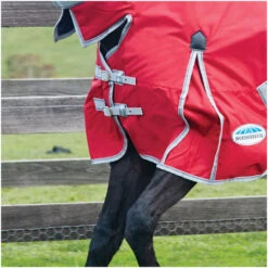 2022 Weatherbeeta Comfitec Classic Lite Combo Neck Turnout Rug - Red / Silver Colour Red/Silver -Equestrian Clothing Sales Weatherbeeta Comfitec Classic Combo Neck Lite Red 2.700x700