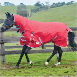 2022 Weatherbeeta Comfitec Classic Lite Combo Neck Turnout Rug - Red / Silver Colour Red/Silver