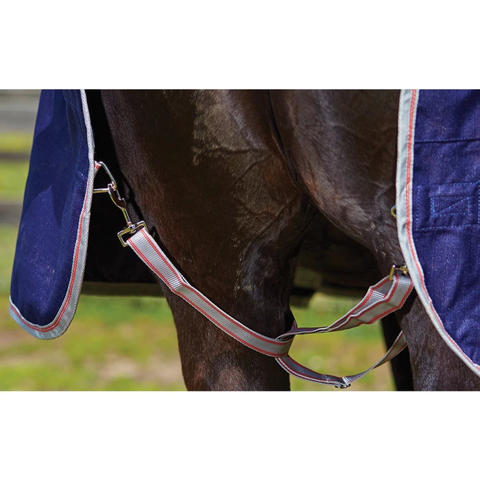 2022 Weatherbeeta Comfitec Essential Heavy Combo Neck Turnout Rug - Navy / Silver 4 2022 Weatherbeeta Comfitec Essential Heavy Combo Neck Turnout Rug - Navy / Silver - Image 2