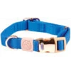 Weatherbeeta Elegance Dog Collar - Blue Colour Blue