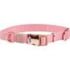 Weatherbeeta Elegance Dog Collar - Pink Colour Pink 2 Weatherbeeta Elegance Dog Collar - Pink Colour Pink -Equestrian Clothing Sales Weatherbeeta Elegance Dog Collar Pink.700x700