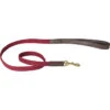 Weatherbeeta Leather Plaited Dog Lead - Brown / Maroon Colour Brown/Maroon -Equestrian Clothing Sales Weatherbeeta Leather Plaited Dog Lead Brown Maroon.700x700