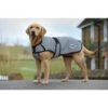 Weatherbeeta Comfitec Reflective Dog Coat - Silver Colour Silver -Equestrian Clothing Sales Weatherbeeta20 20Comfitec20Reflective20Dog20Coat20 20Silver20 20Front.700x700