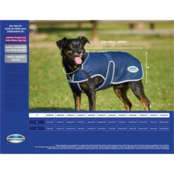 Weatherbeeta Comfitec Reflective Dog Coat - Silver Colour Silver -Equestrian Clothing Sales Weatherbeeta20 20Comfitec20Reflective20Dog20Coat20 20Silver20 20size20chart.700x700