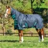Weatherbeeta Comfitec Classic Medium Combo Neck Rug - Black / Green Colour Green/Black 2 Weatherbeeta Comfitec Classic Medium Combo Neck Rug - Black / Green Colour Green/Black -Equestrian Clothing Sales Weatherbeeta20Comfitec20Classic20Combo20Neck20Medium20Black20Green.700x700