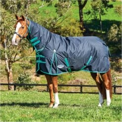 Weatherbeeta Comfitec Classic Medium Combo Neck Rug - Black / Green Colour Green/Black