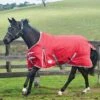 2022 Weatherbeeta Comfitec Classic Medium-Lite Standard Neck Turnout Rug - Red / Silver -Equestrian Clothing Sales Weatherbeeta20Comfitec20Classic20Standard20Neck20Medium20Lite20100940220 20Red.700x700