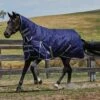 Weatherbeeta Comfitec Essential Medium Combo Neck Rug - Navy / Silver -Equestrian Clothing Sales Weatherbeeta20Comfitec20Essential20Combo20Neck20Medium20Navy20Silver20Red20 20front.700x700