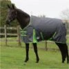 Weatherbeeta Comfitec Essential Medium Standard Neck Rug - Grey / Lime Colour Grey/Lime -Equestrian Clothing Sales Weatherbeeta20Comfitec20Essential20Standard20Neck20Medium20100041720 20Grey.700x700