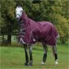 Weatherbeeta Comfitec Plus Dynamic II Lite Combo Neck Rug - Maroon / Grey -Equestrian Clothing Sales Weatherbeeta20Comfitec20Plus20Dynamic20II20Combo20Neck20Lite20100691020 20Maroon.700x700