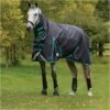 Weatherbeeta Comfitec Plus Dynamic II Medium-Lite Combo Neck Rug - Black / Aqua Colour Black/Aqua -Equestrian Clothing Sales Weatherbeeta20Comfitec20Plus20Dynamic20II20Combo20Neck20Medium20Lite20100691220 20Black.700x700
