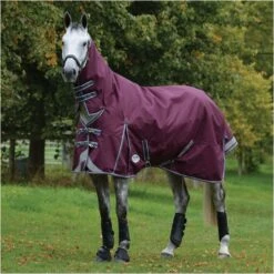 Weatherbeeta Comfitec Plus Dynamic II Medium-Lite Combo Neck Rug - Maroon / Grey Colour Grey/Maroon