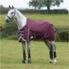 Weatherbeeta Comfitec Plus Dynamic II Lite Standard Neck Rug - Maroon / Grey -Equestrian Clothing Sales Weatherbeeta20Comfitec20Plus20Dynamic20II20Standard20Neck20Lite20100691320 20Maroon.700x700