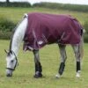 2022 Weatherbeeta Comfitec Plus Dynamic II Medium-Lite Standard Neck Turnout Rug - Maroon / Grey -Equestrian Clothing Sales Weatherbeeta20Comfitec20Plus20Dynamic20II20Standard20Neck20Medium20Lite20100691520 20Maroon.700x700