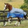 Weatherbeeta Comfitec Premier II Lite Standard Neck Rug - Dark Blue / Grey 2 Weatherbeeta Comfitec Premier II Lite Standard Neck Rug - Dark Blue / Grey -Equestrian Clothing Sales Weatherbeeta20Comfitec20Premier20Free20II20Standard20Neck20Lite20Dark20Blue Grey White.700x700
