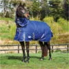 Weatherbeeta Comfitec Premier Medium Detach-A-Neck Rug - Blue / Grey -Equestrian Clothing Sales Weatherbeeta20Comfitec20Premier20Free20Ii20Detach A Neck20Medium20Dark20Blue20Grey20White20 20front.700x700