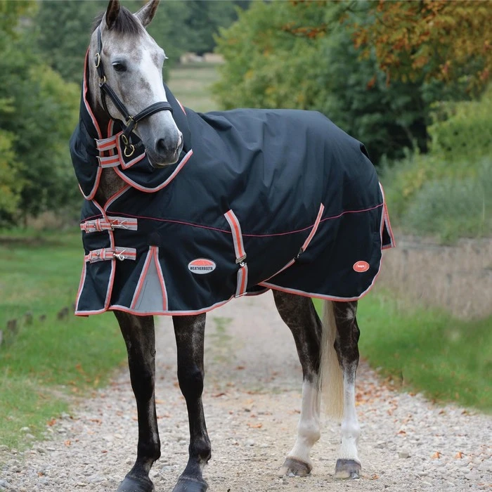 2022 Weatherbeeta Comfitec Premier & Therapy-Tec Medium Detach-A-Neck Turnout Rug - Black / Red 3 2022 Weatherbeeta Comfitec Premier & Therapy-Tec Medium Detach-A-Neck Turnout Rug - Black / Red