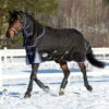 Weatherbeeta Comfitec Ultra Cozi Medium Detach-A-Neck Rug - Charcoal / Blue 1 Weatherbeeta Comfitec Ultra Cozi Medium Detach-A-Neck Rug - Charcoal / Blue -Equestrian Clothing Sales Weatherbeeta20Comfitec20Ultra20Cozi20Ii20Detach A Neck20Medium20Charcoal20Blue20White20 20front.700x700 1