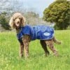 2022 Weatherbeeta Comfitec Windbreaker Free Deluxe Dog Coat 1003914 - Dark Blue / Grey / White -Equestrian Clothing Sales Weatherbeeta20Comfitec20Windbreaker20Free20Deluxe20Dog20Coat20100391420 20Dark20Blue.700x700