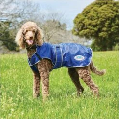 2022 Weatherbeeta Comfitec Windbreaker Free Deluxe Dog Coat 1003914 - Dark Blue / Grey / White
