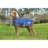Weatherbeeta Comfitec Windbreaker Free Dog Coat - Dark Blue / White / Grey Colour Dark Blue/grey/white -Equestrian Clothing Sales Weatherbeeta20Comfitec20Windbreaker20Free20Dog20Coat20 20Dark20BlueWhite2020Grey20 20front.700x700