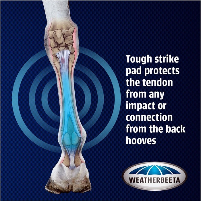 Weatherbeeta Cross Country Boots Hind - Black 7 Weatherbeeta Cross Country Boots Hind - Black - Image 5